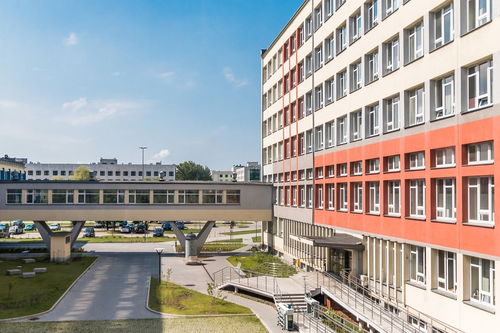 开云体育在线入口-中国篮球教练员执教能力提升与培训体系建设,篮球教练员培训管理系统