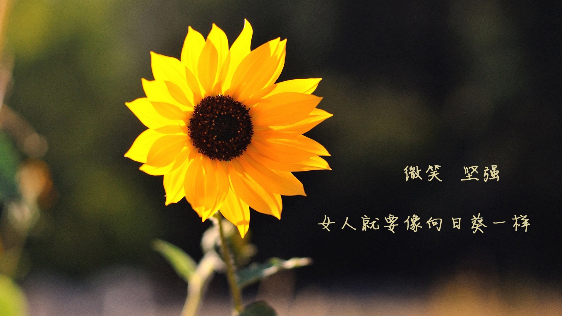 kaiyun官方入口登录-中国女篮展示良好化学反应 场上默契十足