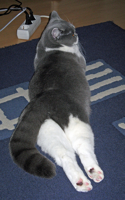 开云娱乐官网-国际热身赛中国青年队晋级 球员表现出色，热身赛赛程