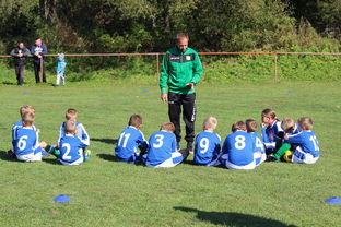 开云网址-意甲攻守大比拼:速度与战术的融合!,意甲战术强在哪里