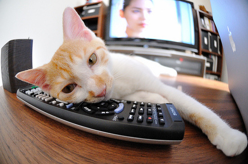 开云真人体育娱乐-王嘉男创造历史跳远锦标赛，跳远运动员王嘉男个人简历