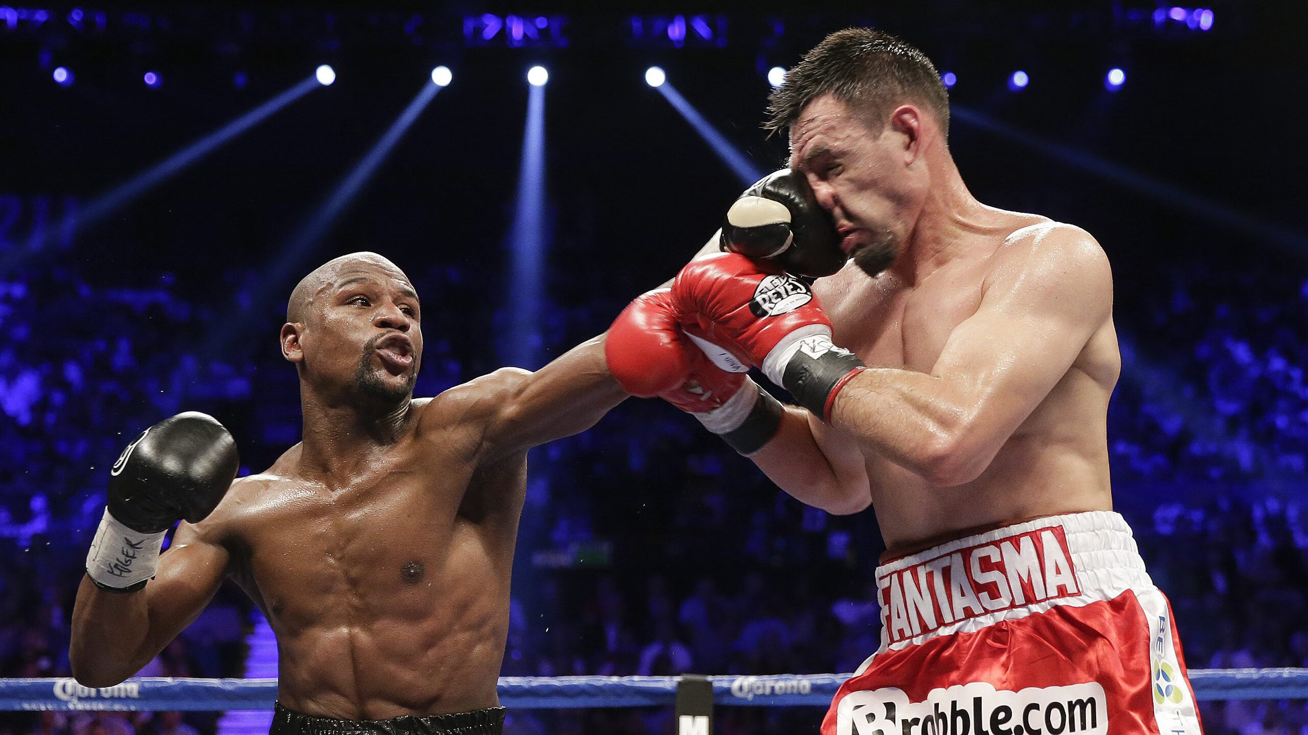 体育新闻中心通报全国自由搏击赛事裁判培训班安排，全国自由搏击锦标赛比赛规则